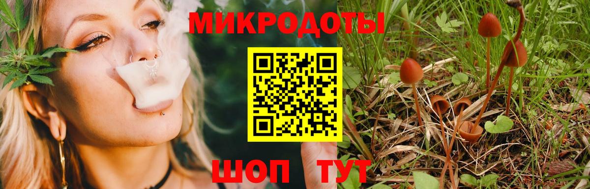 Псилоцибиновые грибы MAGIC MUSHROOMS Евпатория