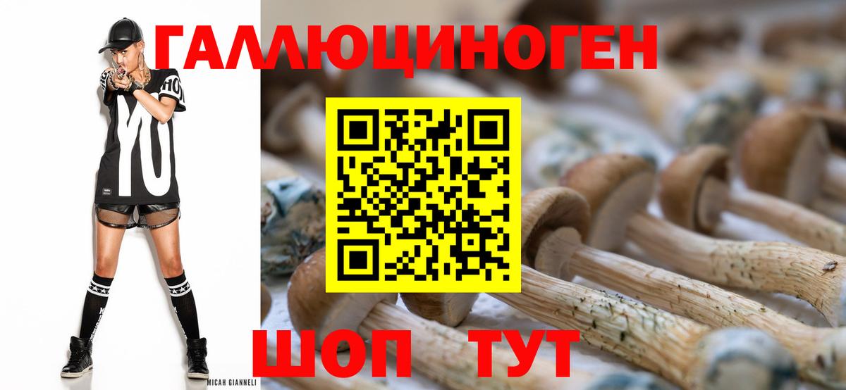 Галлюциногенные грибы MAGIC MUSHROOMS  продажа наркотиков  Евпатория  Вход с VPN 